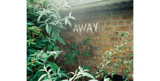 Away Dugout, from the series Once Upon a Time in Bermondsey
